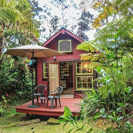 Ferny Hollow: Romantic Rainforest Cottage Volcano Luaran gambar
