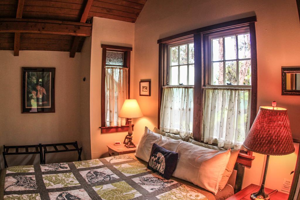 Ferny Hollow: Romantic Rainforest Cottage Volcano Luaran gambar