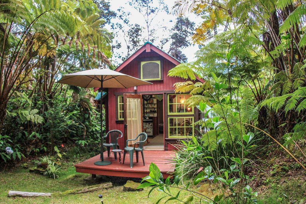 Ferny Hollow: Romantic Rainforest Cottage Volcano Luaran gambar