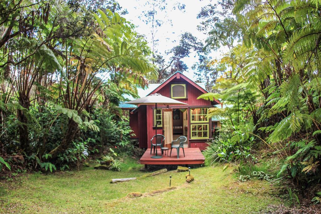 Ferny Hollow: Romantic Rainforest Cottage Volcano Luaran gambar