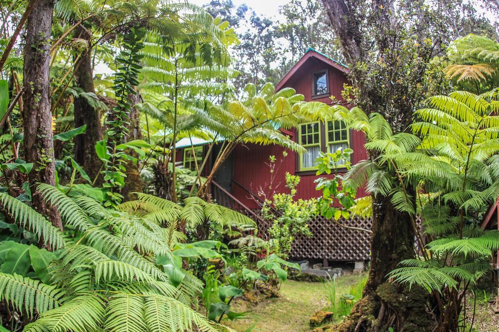 Ferny Hollow: Romantic Rainforest Cottage Volcano Luaran gambar