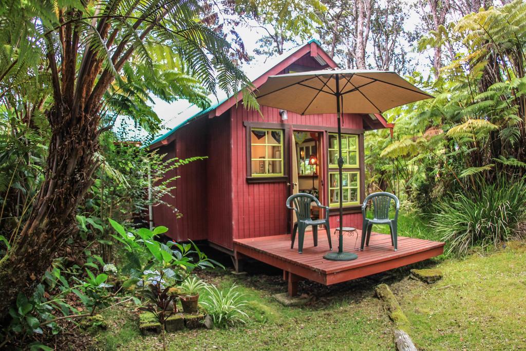 Ferny Hollow: Romantic Rainforest Cottage Volcano Luaran gambar